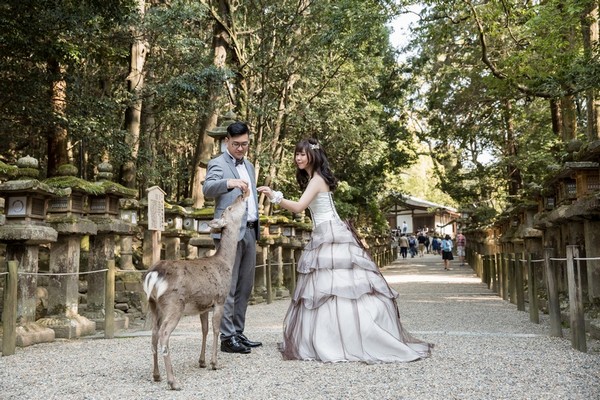 旅拍婚紗,日本婚紗,海外婚紗,奈良拍婚紗,奈良婚紗照